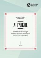 Befiehl du deine Wege 