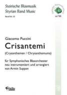 Crisantemi 