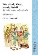 Für wenig Geld, wenig Musik 