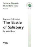 The Battle of Salisbury 