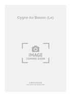 Le Cygne Au Bassin 
