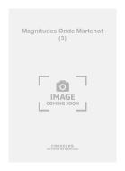 3 Magnitudes 