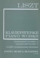 Schwanengesang/Winterreise (Lieder von Franz Schubert) 