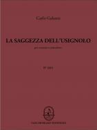 La saggezza dell'usignolo 
