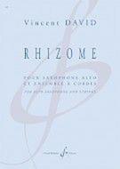 Rhizome 