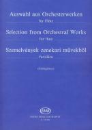 Selection from Orchestral Works 