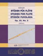 Studies for Flute 3 