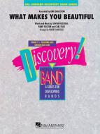 What Makes You Beautiful Standard