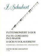 Flötenkonzert D-Dur op. 1 