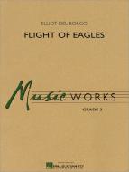 Flight Of Eagles 