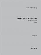 Reflecting Light (2006) 