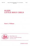 Sleep, Little Holy Child 