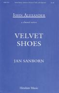 Velvet Shoes 
