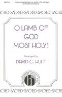 O Lamb Of God Most Holy! 