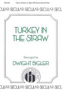 Turkey In The Straw 