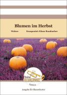 Blumen im Herbst 