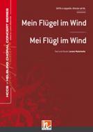 Mein Flügel im Wind - Mei Flügl im Wind 