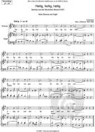 Zum Sanctus (Heilig, heilig) hoch 