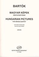 Hungarian Pictures 