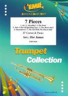 7 Pieces Download