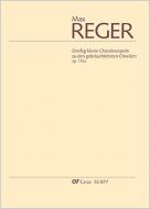 30 kleine Choralvorspiele zu den gebräuchlichsten Chorälen op. 135a Standard