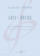 Gris-Brume 