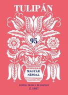 Tulipan 
