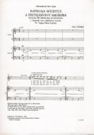 A pestisjárvány emlére 