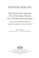 Two Christmas Motets 