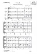 Villõ - The Straw Guy 