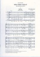 Négy õszivázlat vegyeskarra 