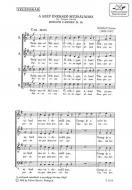 Horatii Carmen Ii.10 