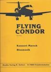 Flying Condor 