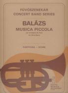 Musica piccola 