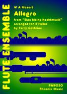 Eine kleine Nachtmusik - Allegro 