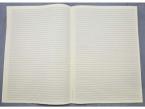 Notenpapier Din A3 hoch (29,7x42) 44 Systeme 