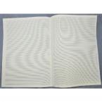 Notenpapier Großpartitur hoch (30x42) 40 Systeme 