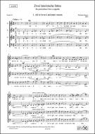 2 lateinische Sätze 