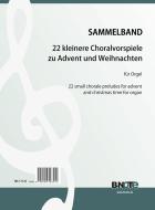 22 kleinere Choralvorspiele zu Advent und Weihnachten 