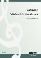Schlaf wohl, du Himmelsknabe du 