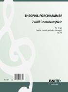 Zwölf kleine Choralvorspiele für Orgel op.13 