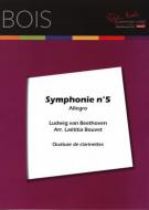 Symphonie N 5 - Allegro 