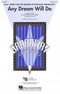 Any Dream Will Do 