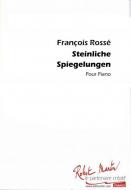 Steinliche Spiegelungen 