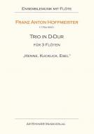 Trio in D-Dur 