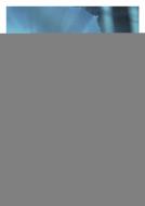 Zwischen Traum und Wirklichkeit 