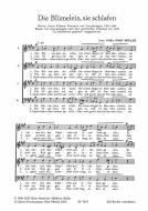Die Blümelein, sie schlafen 