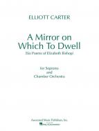 A Mirror On Which To Dwell 