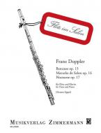 Berceuse / Mazurka de Salon / Nocturne Download