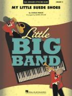 My Little Suede Shoes Standard